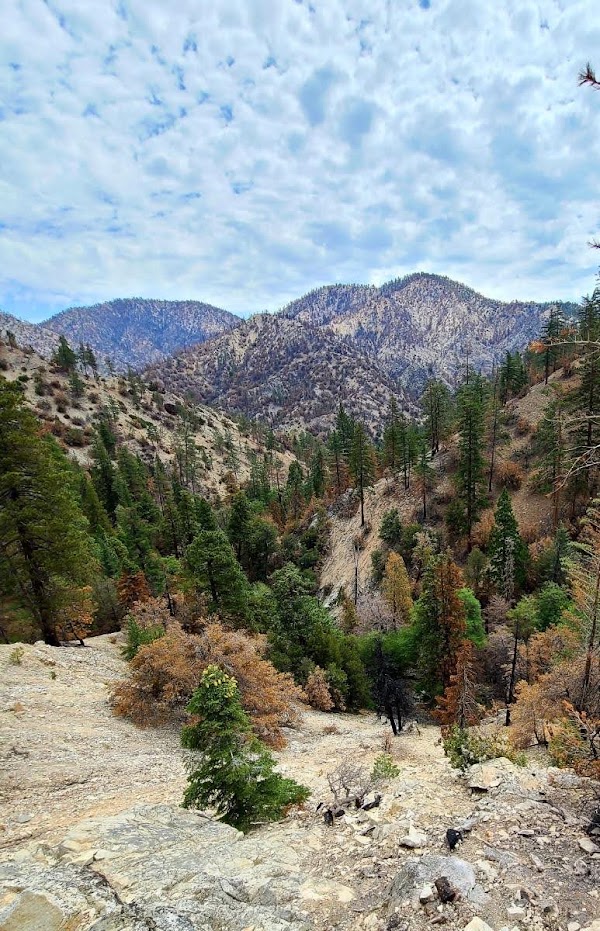 Cooper Canyon Falls 3