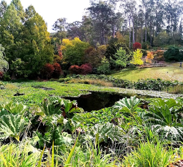 Mount Lofty Botanic Garden
