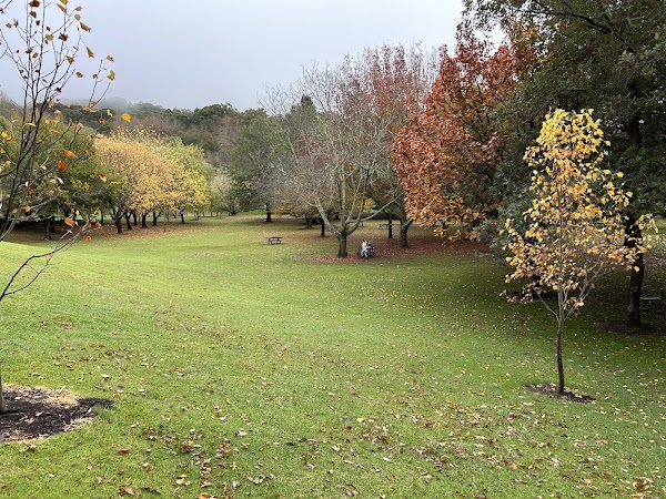 Mount Lofty Botanic Garden 4