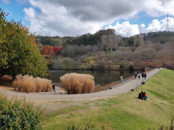 Mount Lofty Botanic Garden 3
