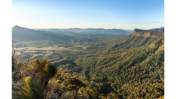 Qld 14