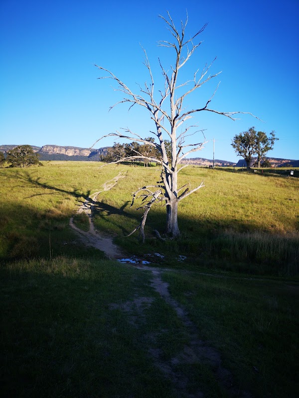 Six Foot Track 4