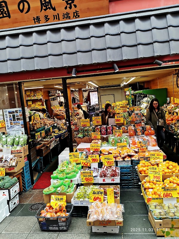 Kawabata Shopping Arcade 3