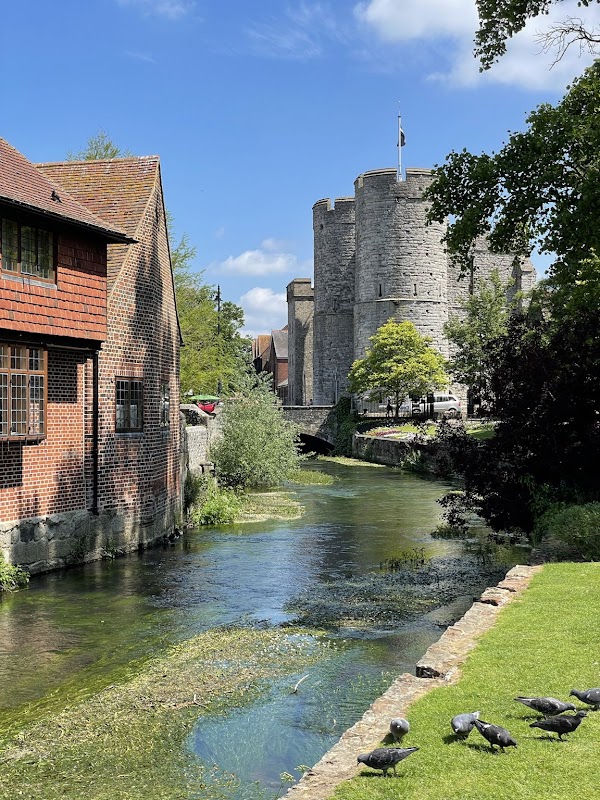 Canterbury 5