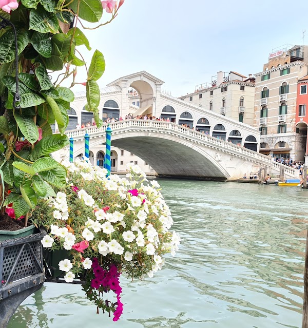 Venice 2