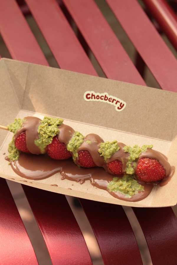 Chocberry Backyard 5