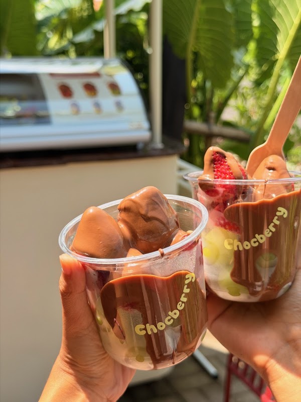 Chocberry Backyard 2