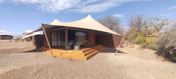 Desert Rhino Camp