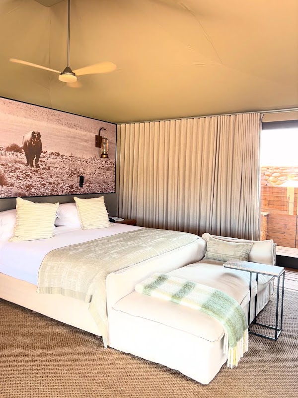 Desert Rhino Camp 5