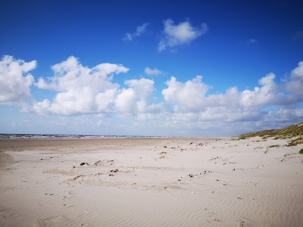 Børsmose Strand 5