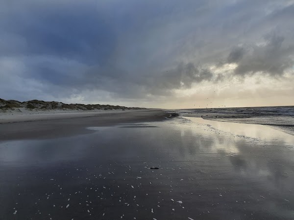Børsmose Strand 3