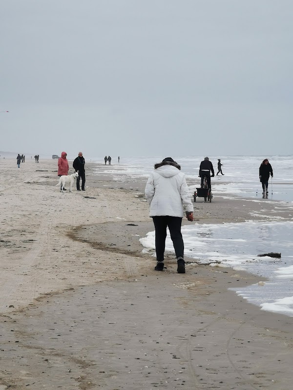 Børsmose Strand 2