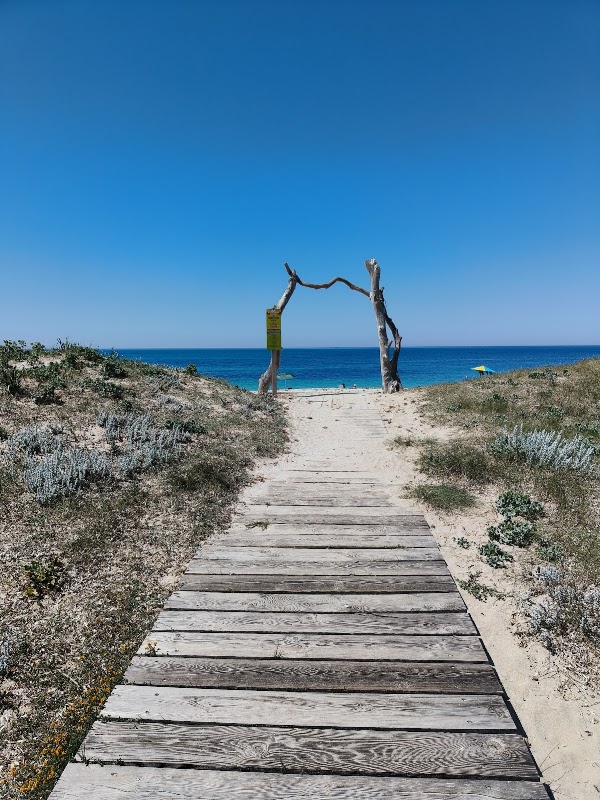 Maimoni Beach For Dogs 1