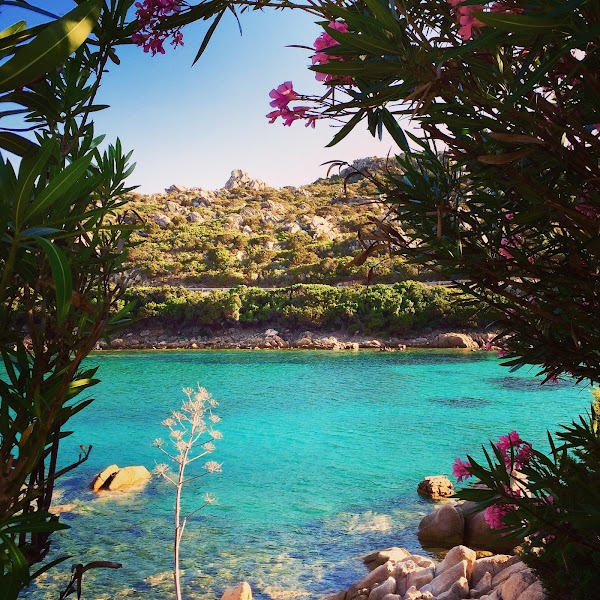 Maddalena Island 1