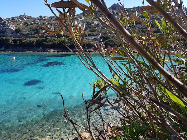 Maddalena Island 2