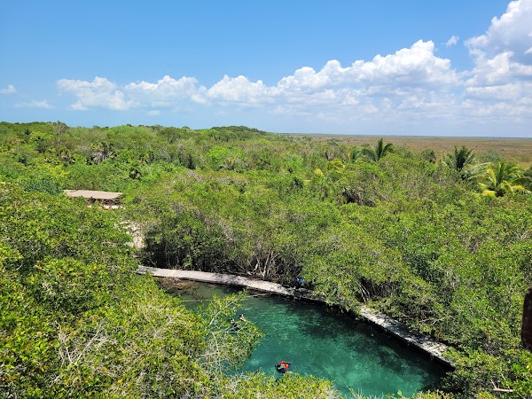 Hoyo negro Yalahau 5