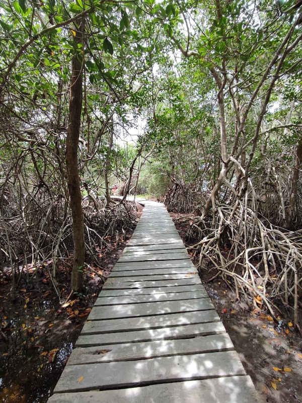 Hoyo negro Yalahau 2