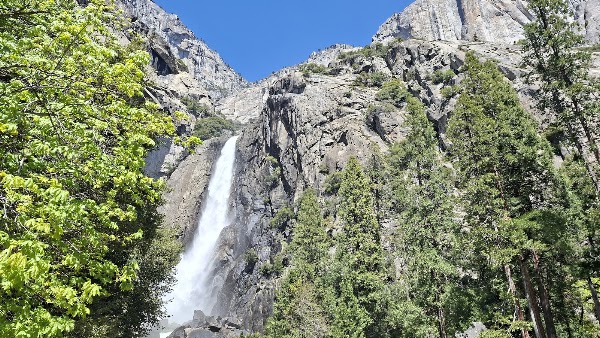 Yosemite Lodge Food Court 3