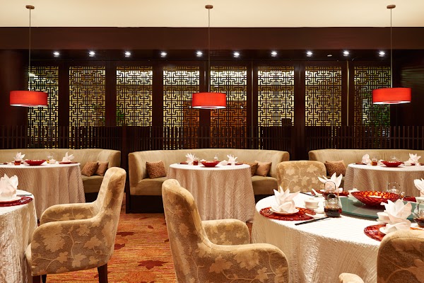 Xin Cuisine Chinese Restaurant