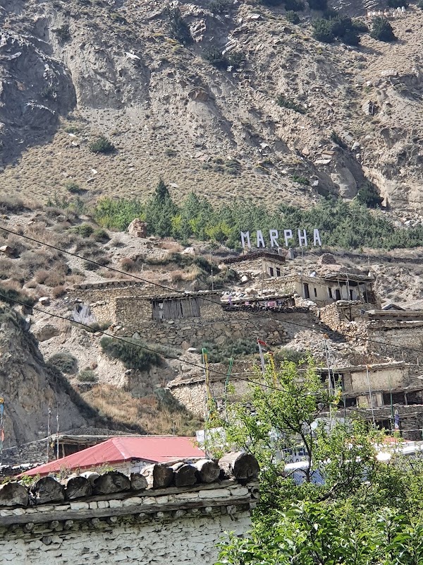 Marpha 4