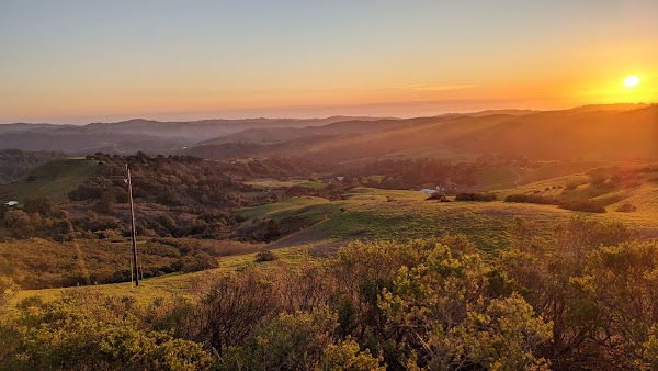 Windy Hill Open Space Preserve 1