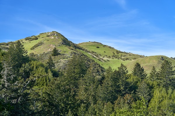 Windy Hill Open Space Preserve 5