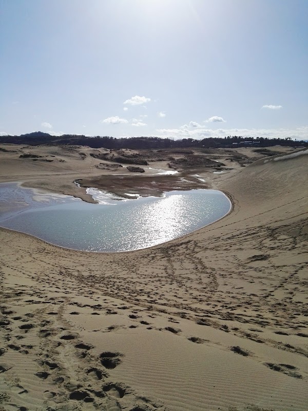 Tottori 4