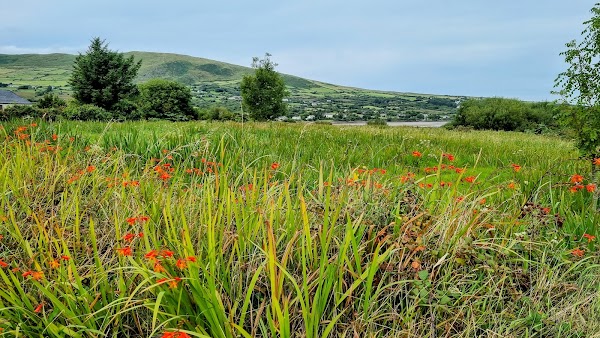 An Clochán 5