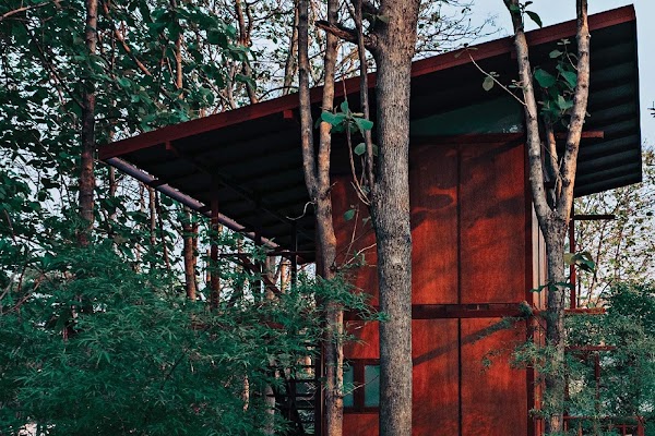 Red Riding Wood CNX 3