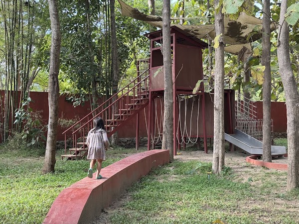 Red Riding Wood CNX 2