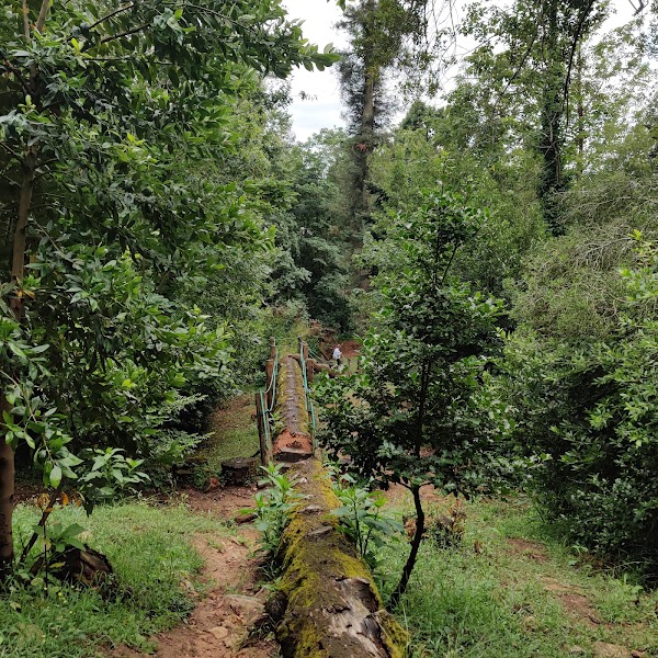 Serra do Buçaco 5