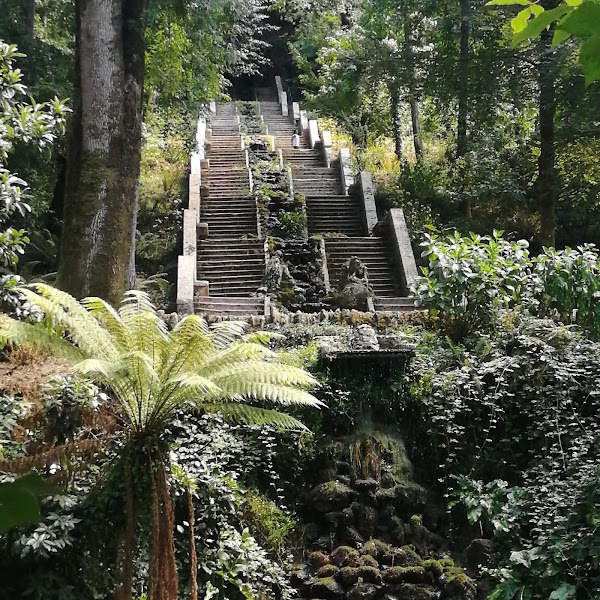 Serra do Buçaco 4