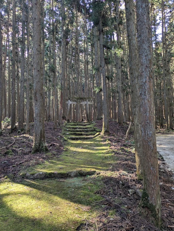 Wakamiya Shrine 5