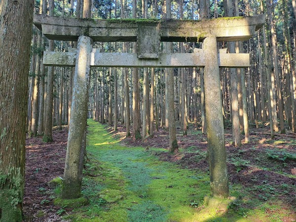 Wakamiya Shrine 4