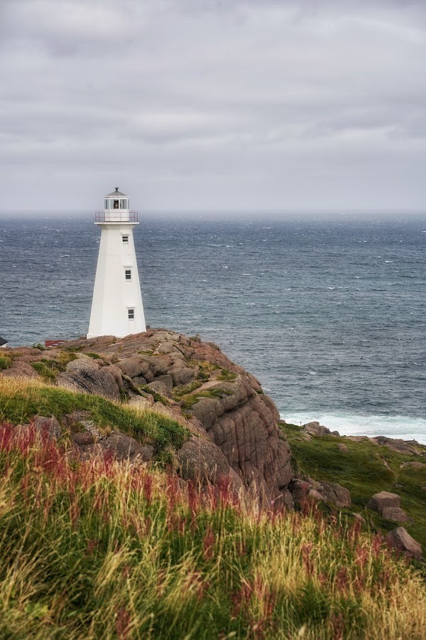 Cape Spear Lighthouse National Historic Site 5
