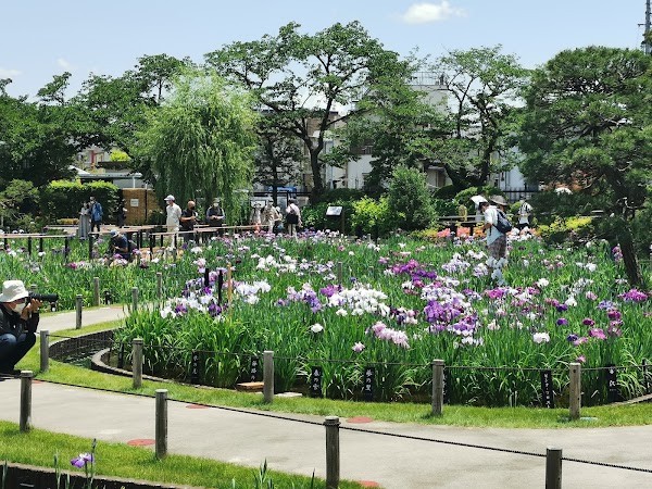 Horikiri Iris Garden 1