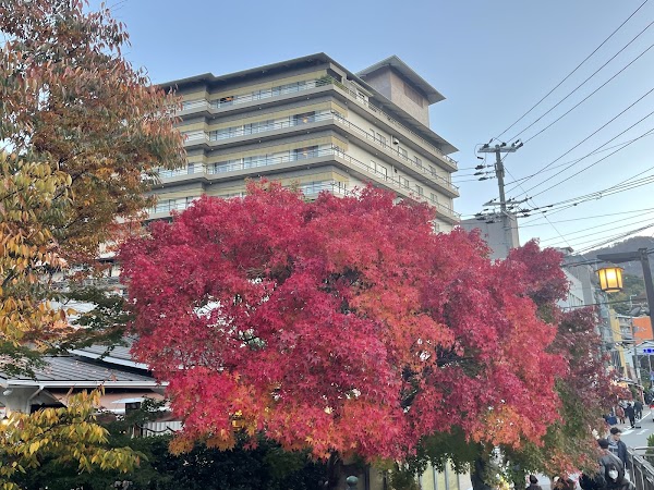 Arima Onsen 2