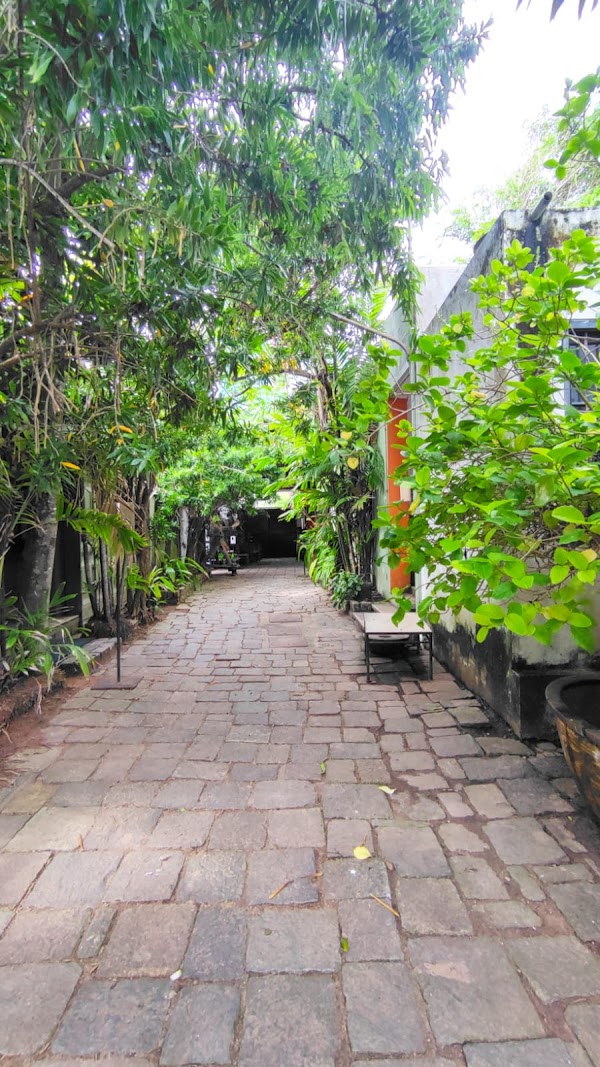 Barefoot Gallery 4