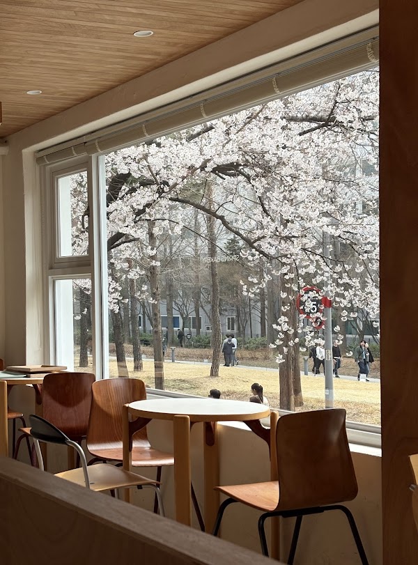 스프링베이커리 (Spring bakery)