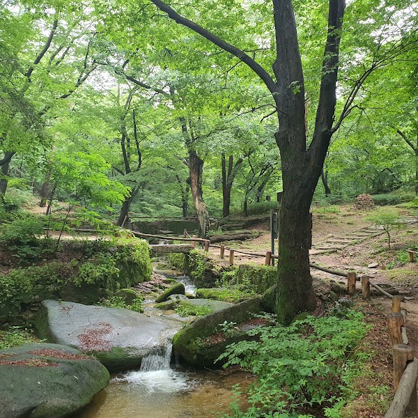 백사실계곡 5