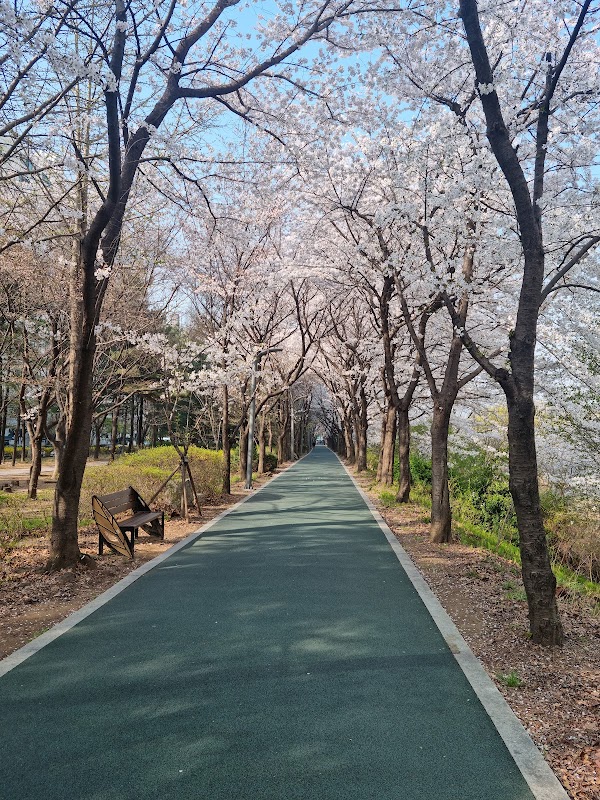 Yeongdong 3(sam)-gyo 1