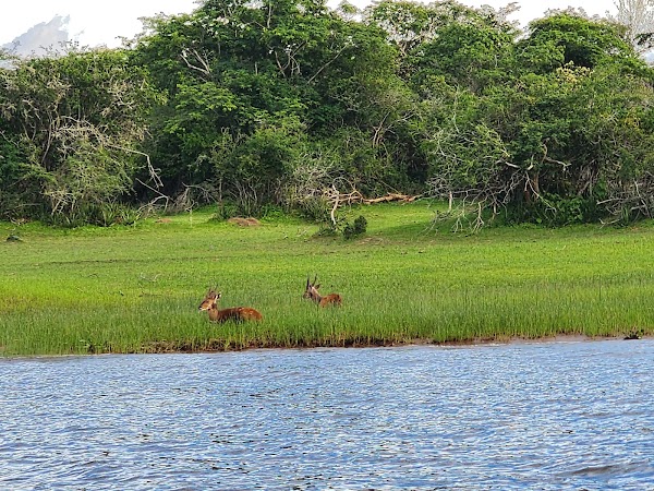 Lake Ihema 5