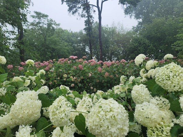 내리문화공원 3