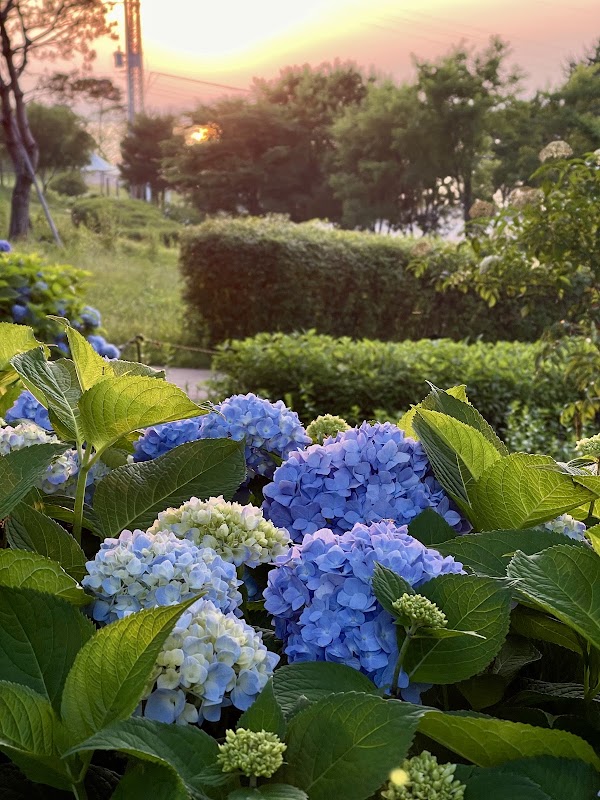 내리문화공원 2