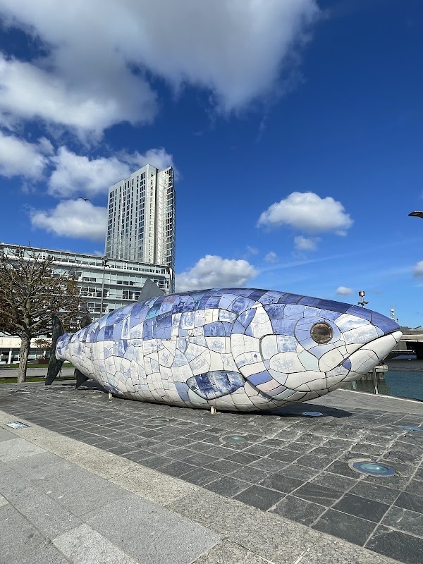 The Salmon of Knowledge