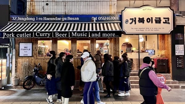 거북이금고 1