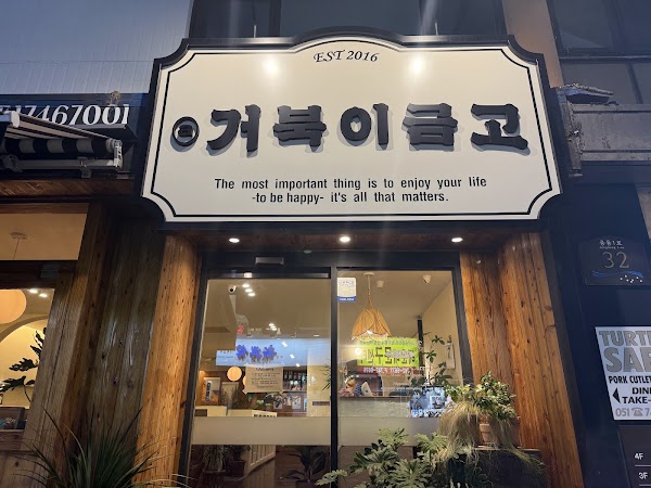 거북이금고 2