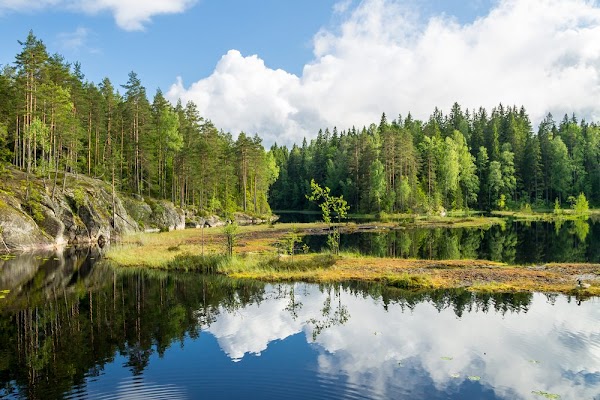 Nuuksio National Park 1