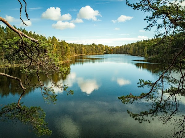 Nuuksio National Park 5