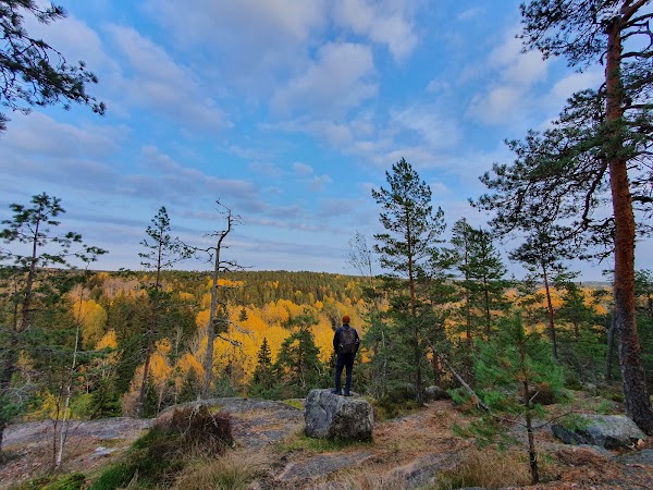 Nuuksio National Park 4